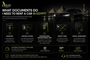 Legal Requirements & Licensing: What Documents Do I Need?