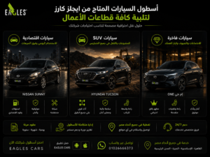 ما هي أفضل السيارات المناسبة لنشاط شركتك؟